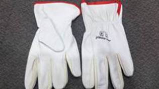 GLOVES DRIVER LEATHER “PER4MER”