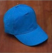 5 PANNEL BRUSH ACC CAP BLUE