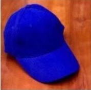 6 PANNEL BRUSH ACC CAP ROYAL BLUE