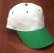 6 PANNEL BRUSH ACC CAP WHITE GREEN