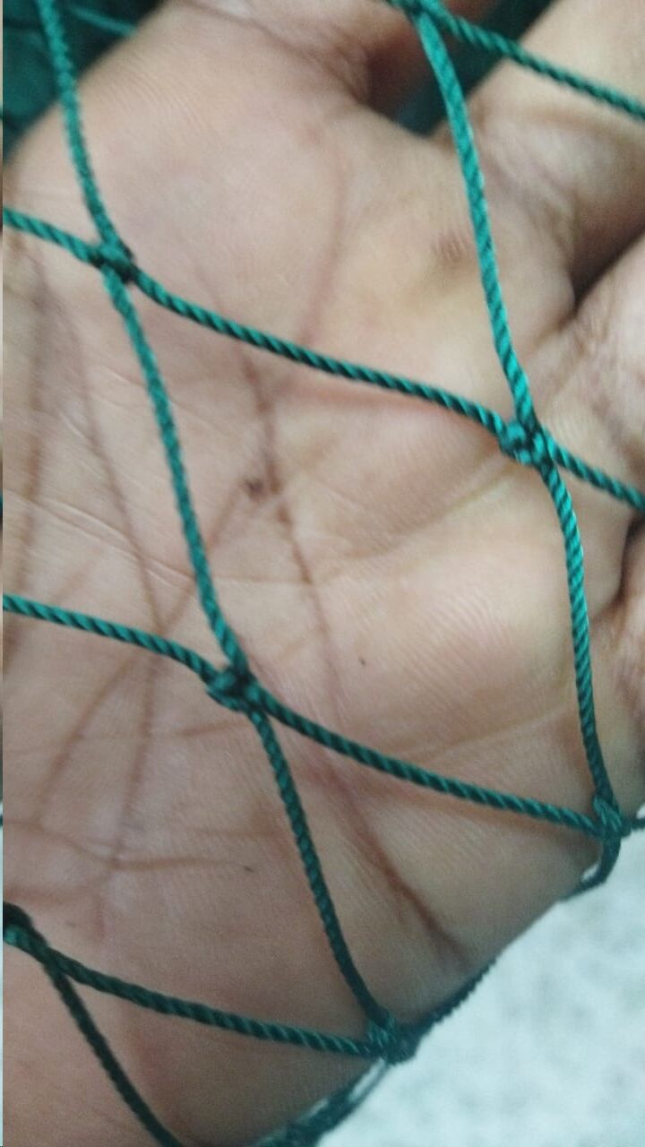 Buy fishing cast net material Online in UAE at Low Prices at desertcart