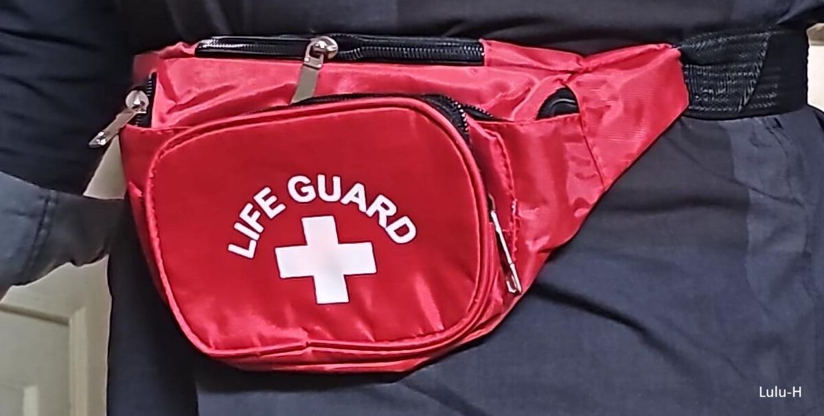 LIFEGUARD RGLR HIP PACK RGLR