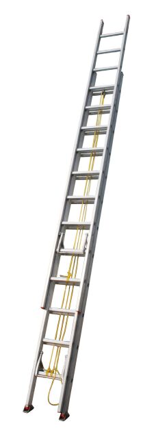 LADDER PENGUIN ALTE